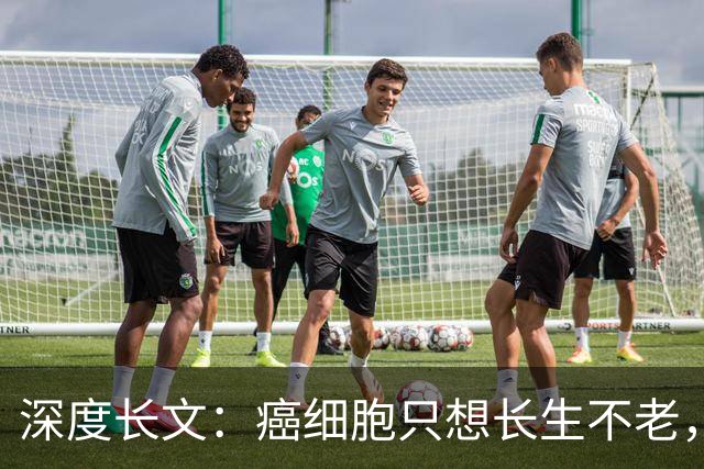 深度长文：癌细胞只想长生不老，人类跟这个叛徒到底打了一场什么仗？